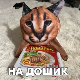 Стикер Стикеры 👉 @EmojiKolStickersBot - 3