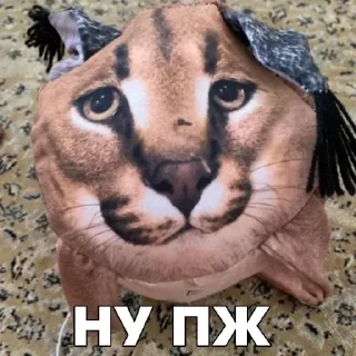 Стикер Стикеры 👉 @EmojiKolStickersBot - 2