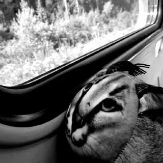 Стикер Стикеры 👉 @EmojiKolStickersBot - 4