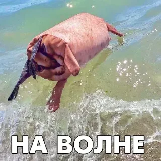 Стикер Стикеры 👉 @EmojiKolStickersBot - 1