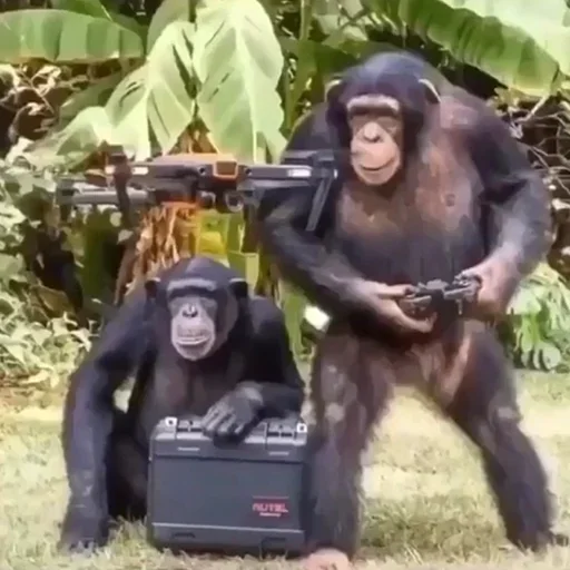 Sticker EmojiKolStickersBot238913 - 1