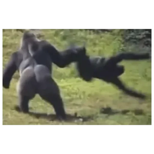 Sticker EmojiKolStickersBot238913 - 1