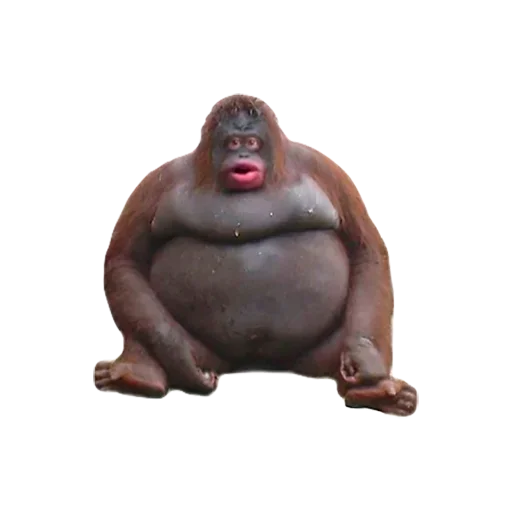 Sticker EmojiKolStickersBot238913 - 1