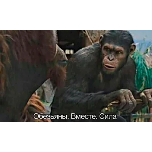 Sticker EmojiKolStickersBot238913 - 1