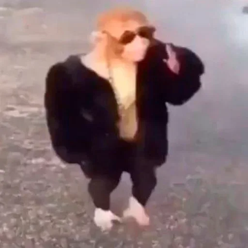 Sticker EmojiKolStickersBot238913 - 1