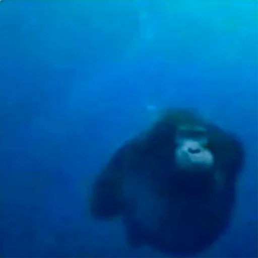 Sticker EmojiKolStickersBot238913 - 1