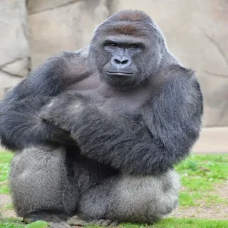 Sticker Создать стикеры 👉🏻 @EmojiRuBot - 4