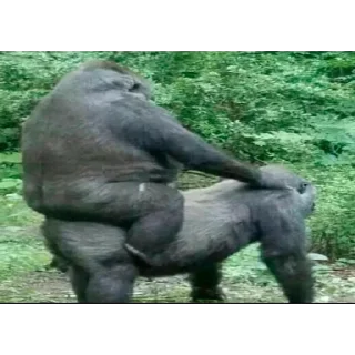 Sticker Создать стикеры 👉🏻 @EmojiRuBot - 0