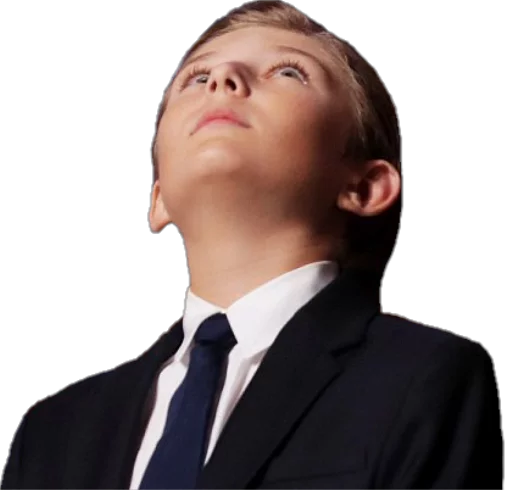 Стикер Future Emperor Barron Trump - 10