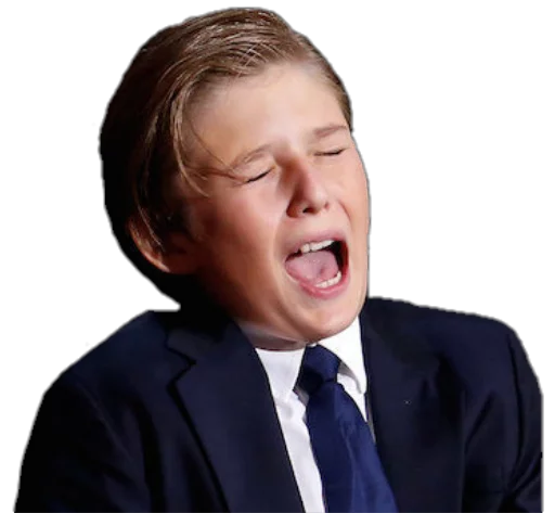 Стикер Future Emperor Barron Trump - 8