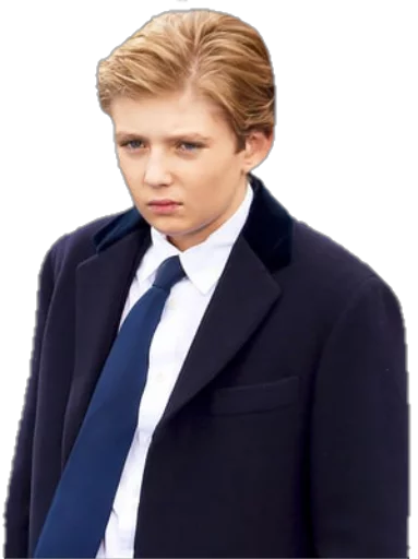 Стикер Future Emperor Barron Trump - 7