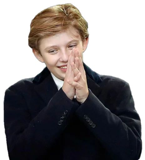 Стикер Future Emperor Barron Trump - 4