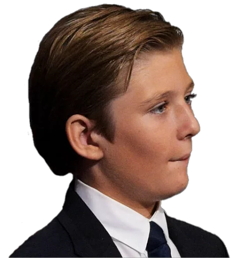 Стикер Future Emperor Barron Trump - 0