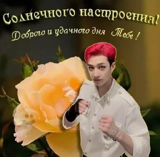 Sticker Энхайпен энд стрей кидс ворлд доминейшн - 10