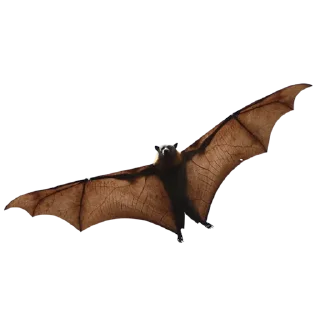 Стикер EnErebosPhos 🦇 @witchitgood - 8