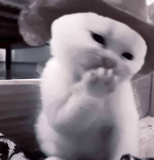 кролик игрушка Белый