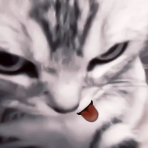 млекопитающее животное кошка