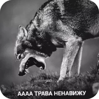 Стикер Endo_Wolf - 4