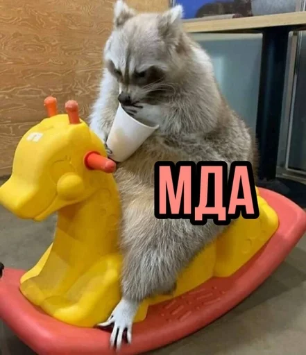 млекопитающее мех енот