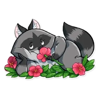 Sticker Енот - 2