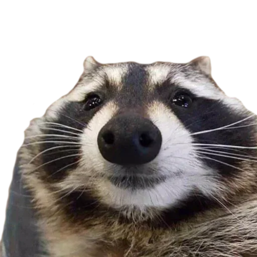 Sticker ЄНОТ - 10