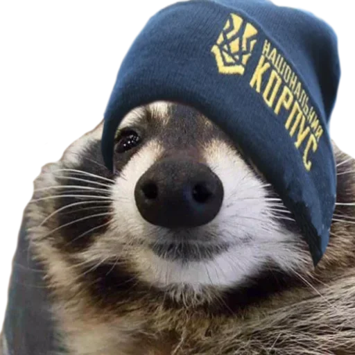 Sticker ЄНОТ - 8