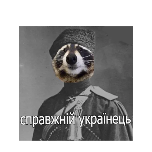 Sticker ЄНОТ - 4