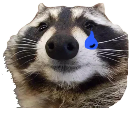 Sticker ЄНОТ - 1