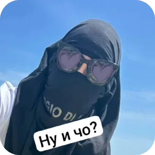 Sticker Enot Oboltys - 5