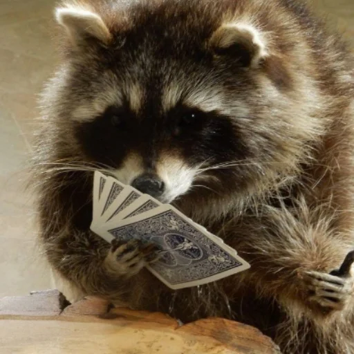 Енотики @BredRa - 