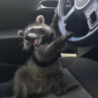 Sticker Енотики @BredRa - 10