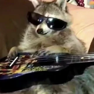 Sticker Енотики @BredRa - 7