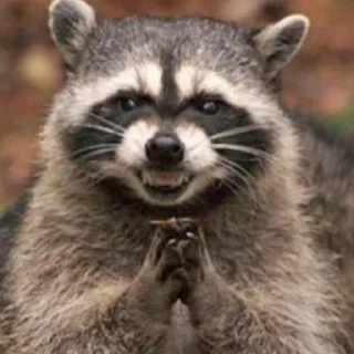 Sticker Енотики @BredRa - 9