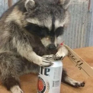 Sticker Енотики @BredRa - 6