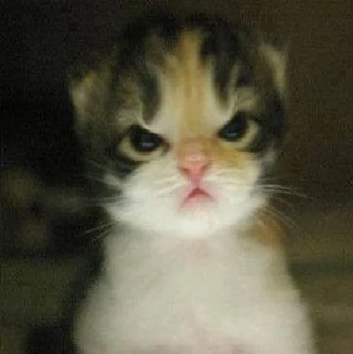 Стикеры Бабы Яги - 