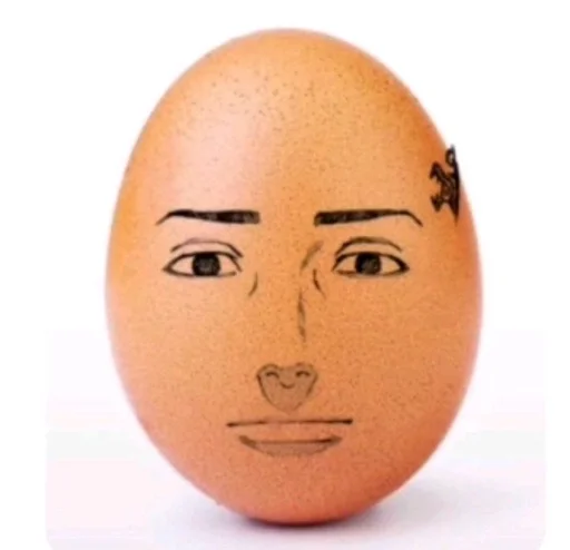 egg
