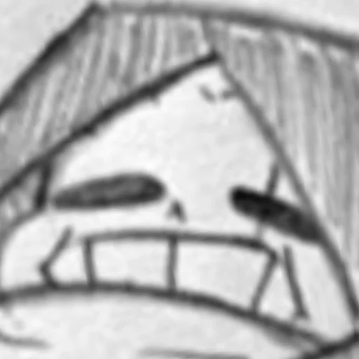 эскиз рисование искусство