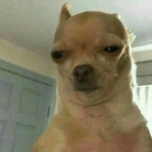 Sticker Удалённые - 9