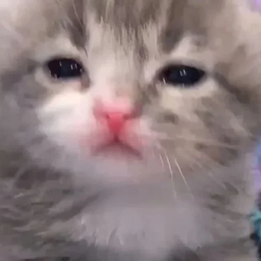 Sticker Удалённые - 8