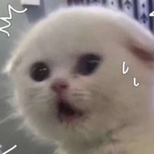 Sticker Удалённые - 7