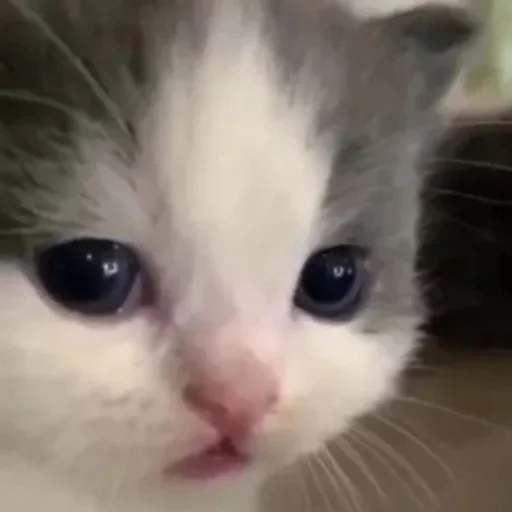 Sticker Удалённые - 6