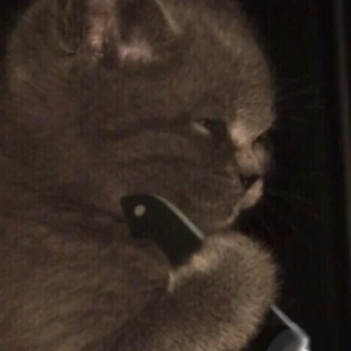 Удалённые - 