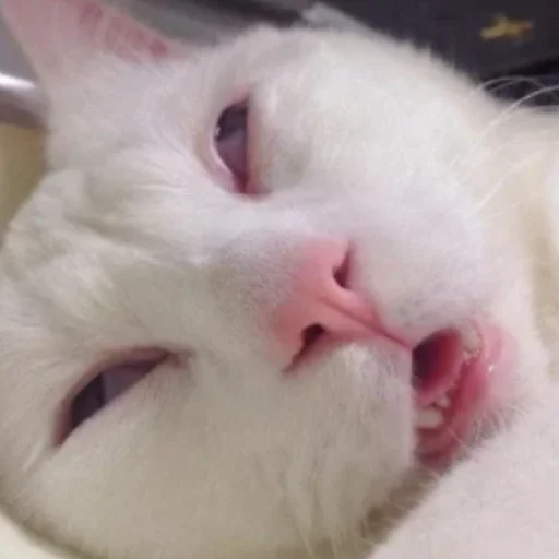 Sticker Удалённые - 2