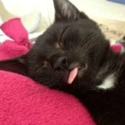 Sticker Удалённые - 1