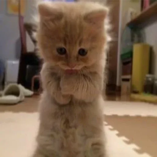 Стикер ErFZBbeNAUlEZy_by_stickers_stealer_bot - 1