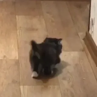 Стикер Больше стикеров: @sticerru - 5