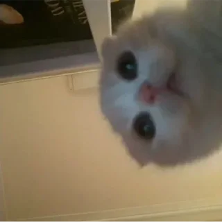 Стикер Больше стикеров: @sticerru - 11