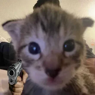 Стикер Больше стикеров: @sticerru - 10