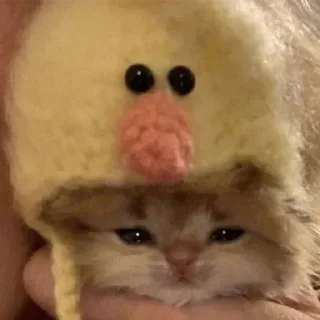 Стикер Больше стикеров: @sticerru - 9