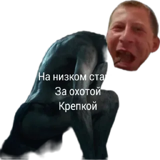 Sticker Error 404 - 5